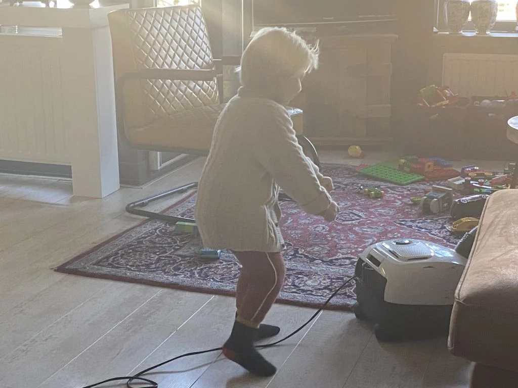 diary_persoonlijk_sneeuw_thuiswerken_bakfiets_tuin_mamablogger_