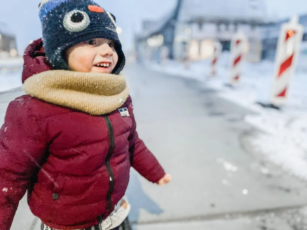 diary_persoonlijk_sneeuw_thuiswerken_bakfiets_tuin_mamablogger_