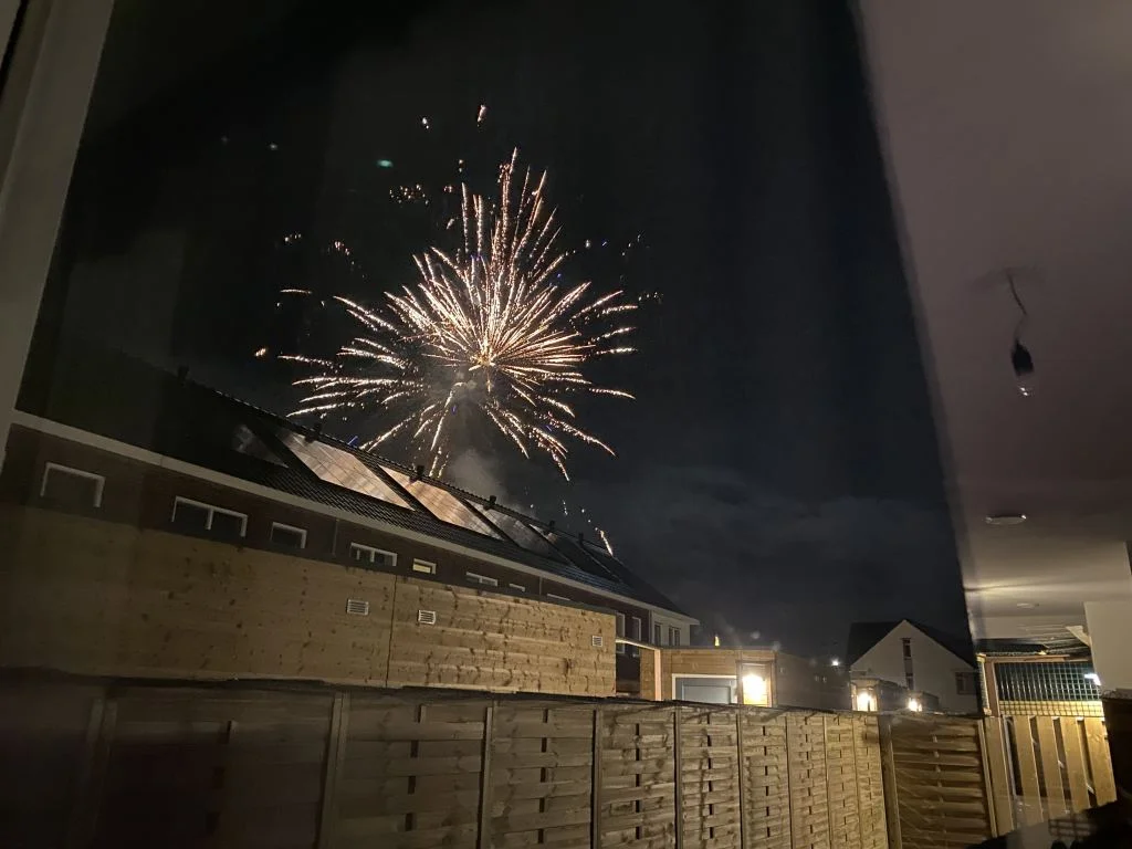 diary_persoonlijk_laatste_week_2020_oud & nieuw_mamablogger_