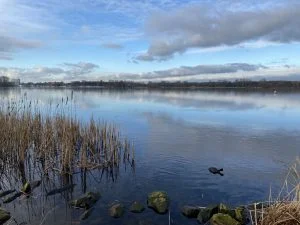 diary_mamablogger_persoonlijk_vieren_