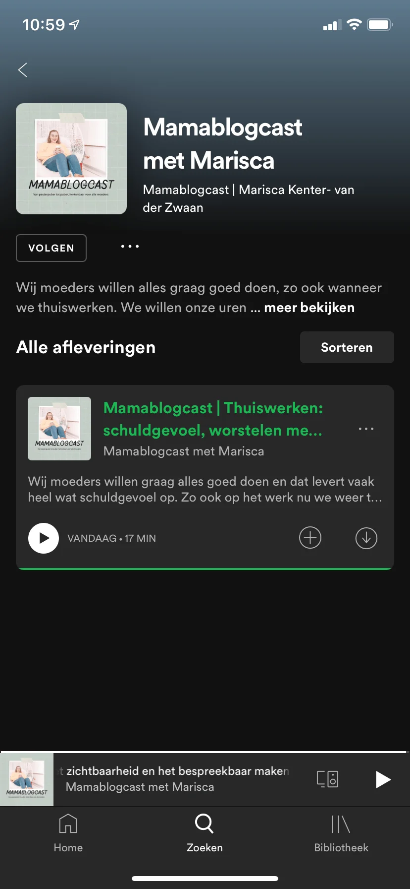 diary_schaatsen_mamablogger_persoonlijk_school_podcast_