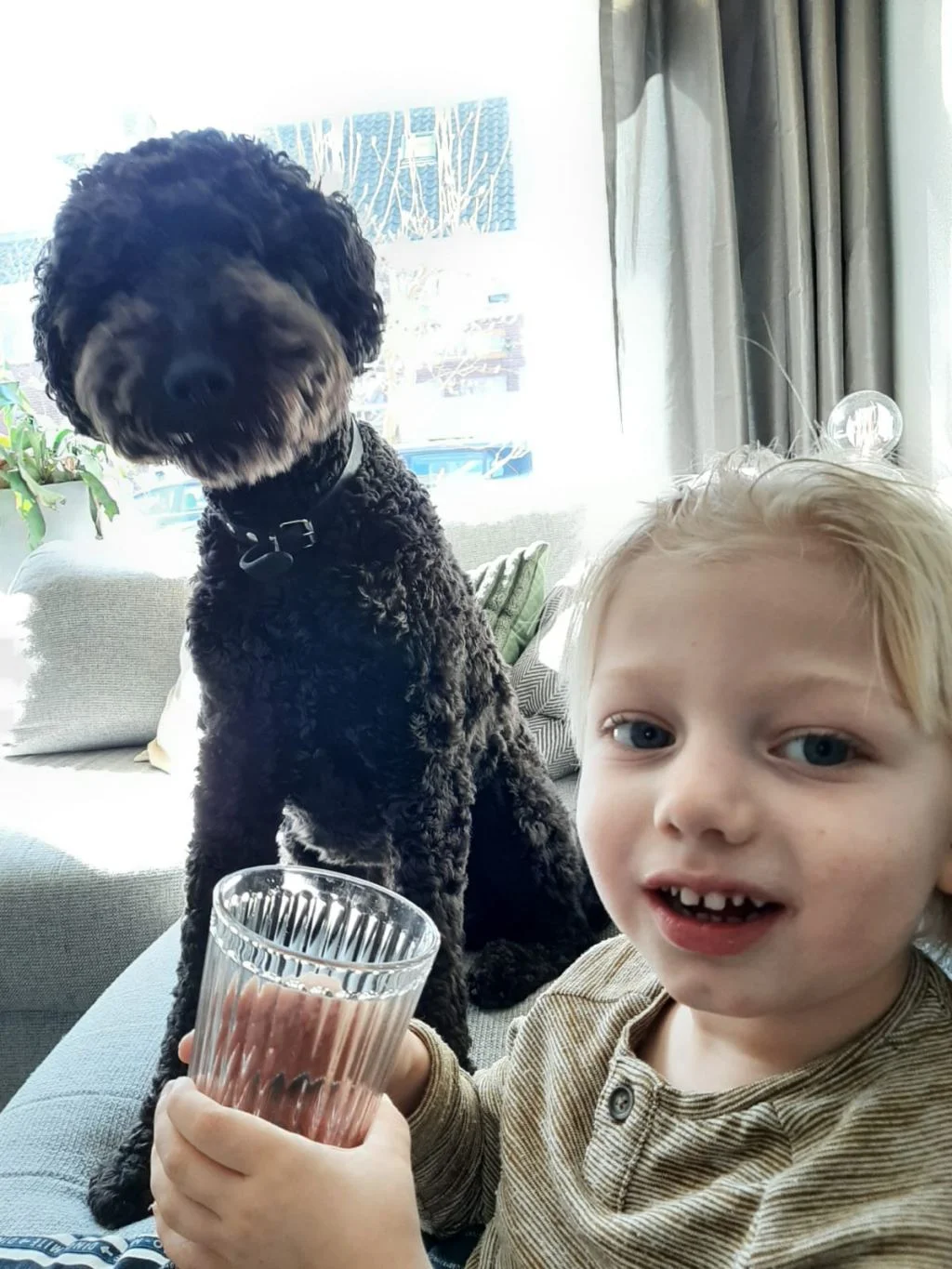 diary_hooikoorts_persoonlijk_mamablogger_