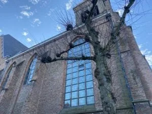 afgelopen week_diary_persoonlijk_shoppen_coronatest_stemmen_mamablogger_