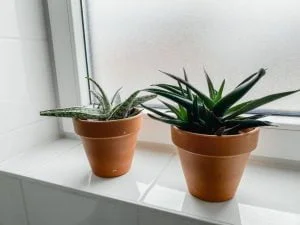 badkamer_interieur_mamablogger_verhuizen_huis_