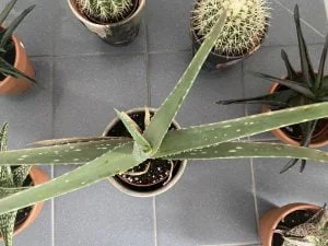 diary_persoonlijk_mamablogger_uitslag coronatest_trap_bekleden_