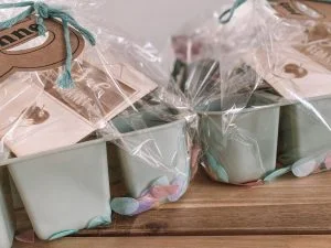 afscheidscadeau_juf_juffenbedankje_einde schooljaar_traktatie_trakteren_mamablogger_