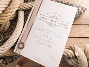 Moederdag_cadeau_Ster_Star_register_mamablogger_tip_