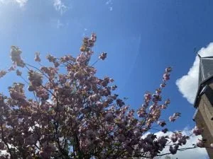 diary_recap_coronavirus_nieuwe auto_mamablogger_persoonlijk_