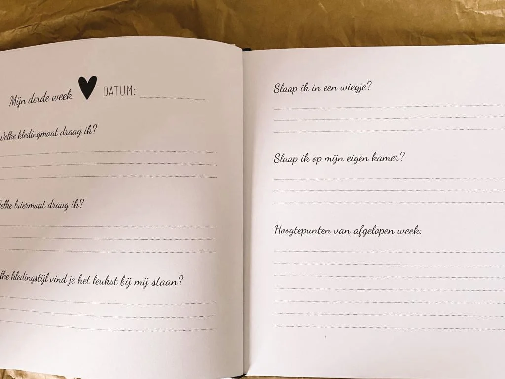 zwanger_bevallen_cadeautip_invulboek_lifesyle2love_mamablogger_
