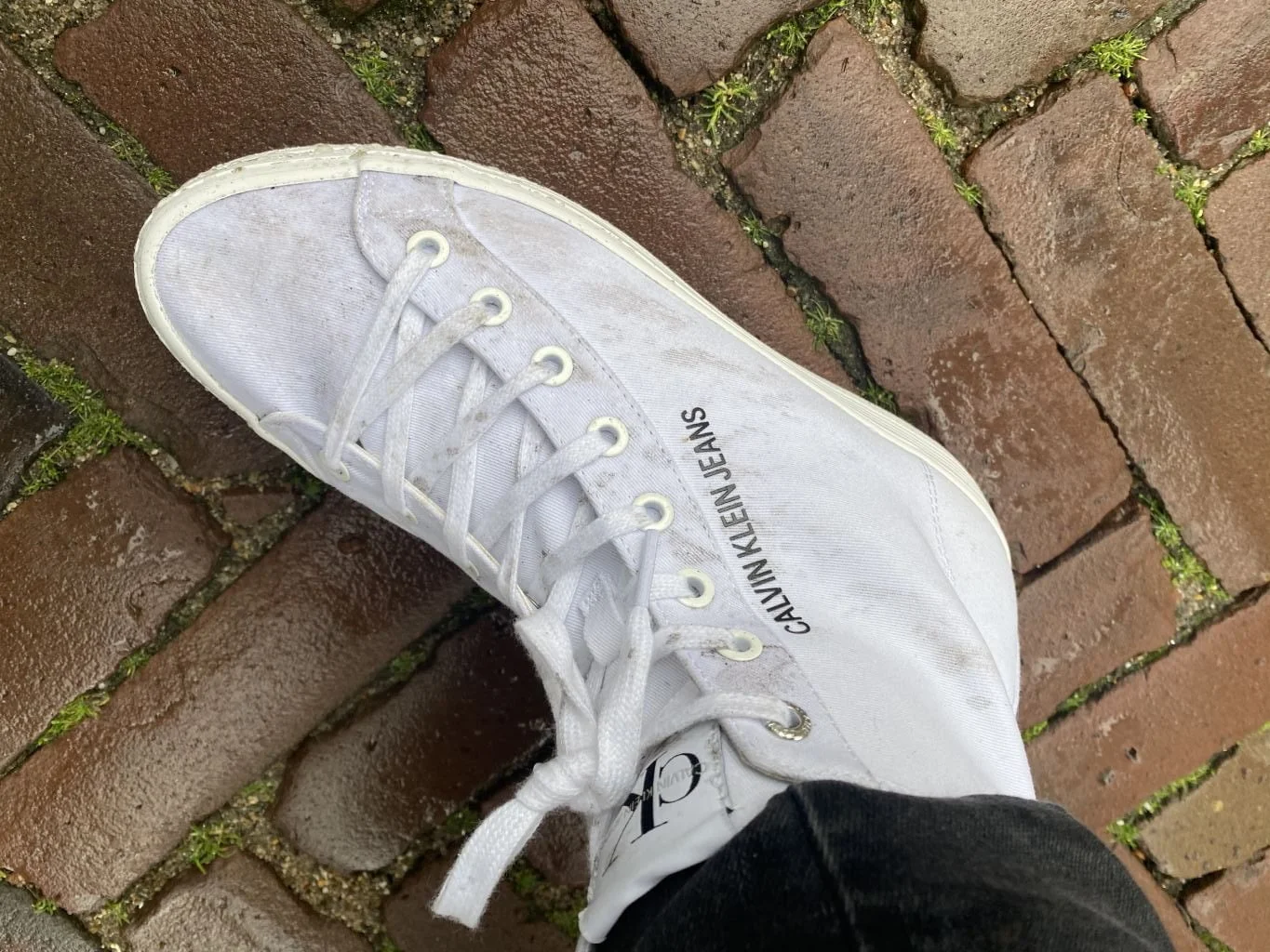 diary_mamablogger_persoonlijk_korte week_kabouterbos_auto ophalen_