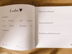 zwanger_bevallen_cadeautip_invulboek_lifesyle2love_mamablogger_