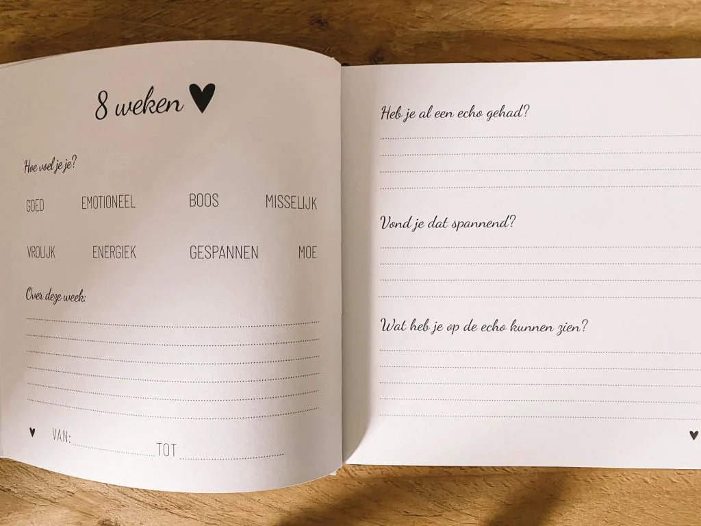 zwanger_bevallen_cadeautip_invulboek_lifesyle2love_mamablogger_