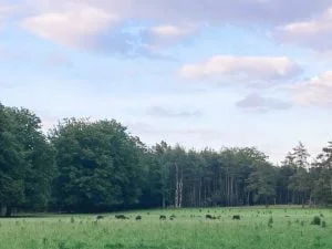 diary_persoonlijk_zon_weekendje weg_