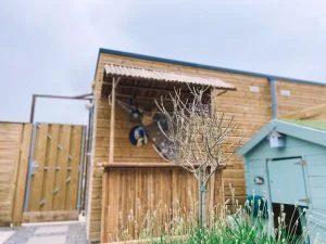 bar_tuin_mamablogger_tuinbar_tikibar_bamboe_