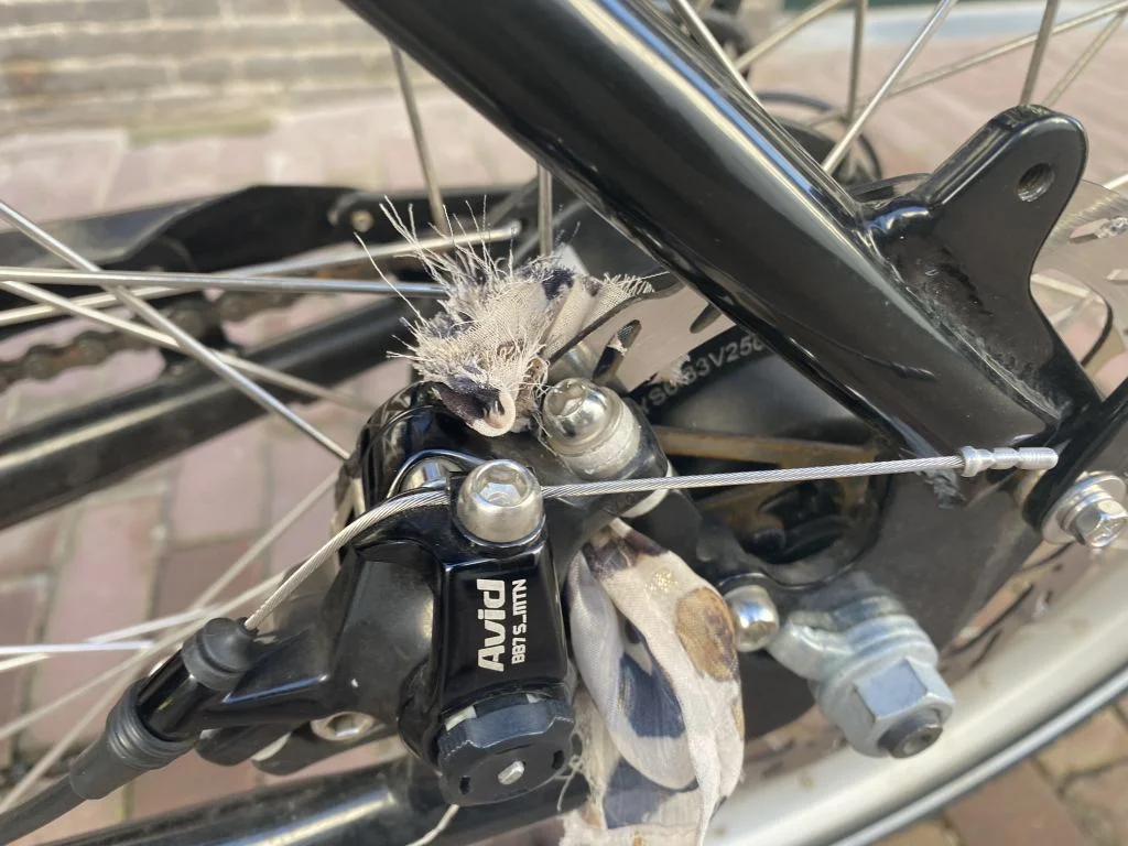 diary_pechdag_terras_persoonlijk_mamablogger_