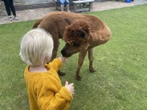 geld dagboek_vakantie_texel_mamablogger_