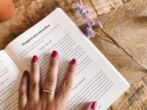 goed werk_cynthia Schultz_boekentip_mamablogger_plannen_structuur_