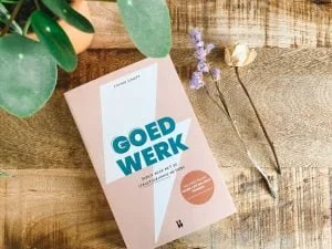 goed werk_cynthia Schultz_boekentip_mamablogger_plannen_structuur_