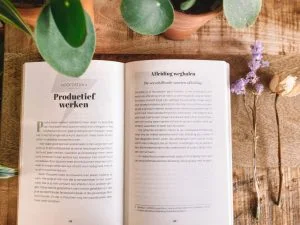 goed werk_cynthia Schultz_boekentip_mamablogger_plannen_structuur_