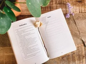 goed werk_cynthia Schultz_boekentip_mamablogger_plannen_structuur_