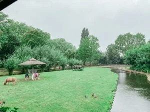 Plaswijckpark_Rotterdam_review_budget uitje_gezin_mamablogger_