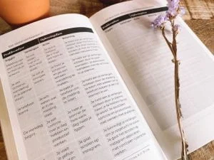 goed werk_cynthia Schultz_boekentip_mamablogger_plannen_structuur_