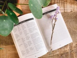 goed werk_cynthia Schultz_boekentip_mamablogger_plannen_structuur_