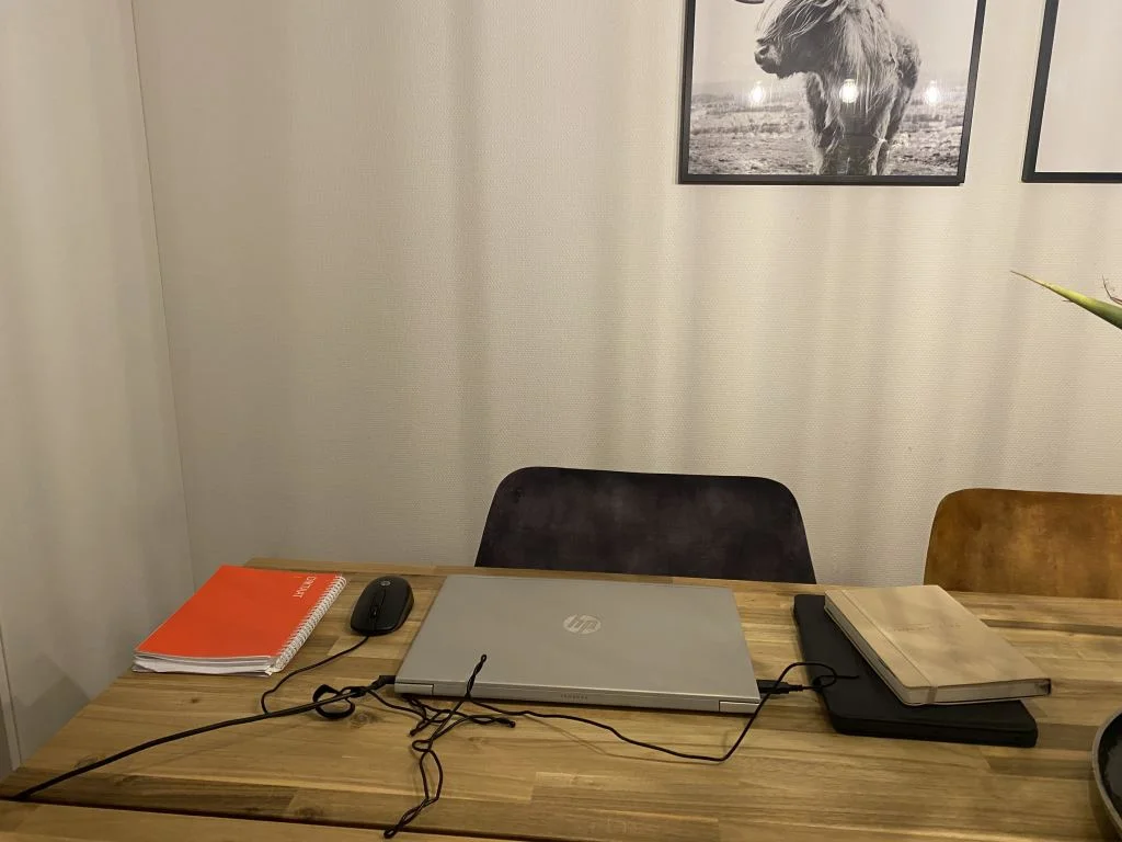 diary_persoonlijk_mamablogger_bruiloft_werk_plaswijckpark_