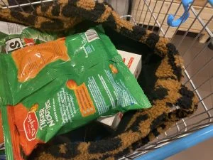 diary_persoonlijk_back to school_formule 1_mamablogger_