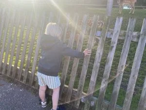 diary_persoonlijk_mamablogger_op gang_heerlijke weer_