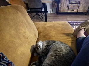 diary_mamablogger_persoonlijk_thuis_huishouden_