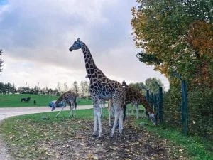 Legoland_Billund_Denemarken_vakantie_kinderen_mamablogger_