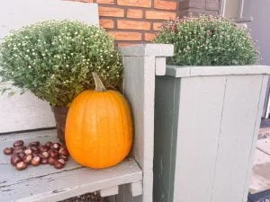 diary_persoonlijk_pyjamadag_mamablogger_sinterlaasinkopen_