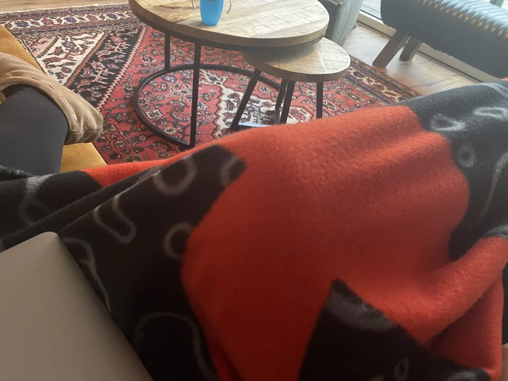 diary_verjaardagen_jongens_mamablogger_persoonlijk_lunch_