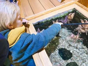 Legoland_Billund_Denemarken_vakantie_kinderen_mamablogger_
