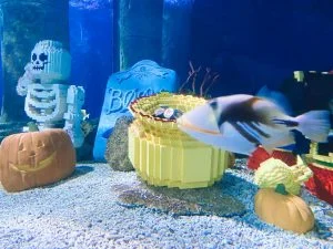 Legoland_Billund_Denemarken_vakantie_kinderen_mamablogger_