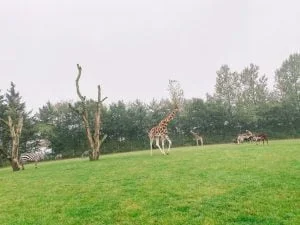Legoland_Billund_Denemarken_vakantie_kinderen_mamablogger_