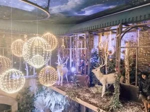 Intratuin Duiven_Mamablogger_Christmas Countdown_verslag_