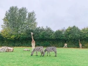 Legoland_Billund_Denemarken_vakantie_kinderen_mamablogger_