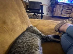 diary_persoonlijk_pyjamadag_mamablogger_sinterlaasinkopen_