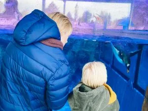 Legoland_Billund_Denemarken_vakantie_kinderen_mamablogger_