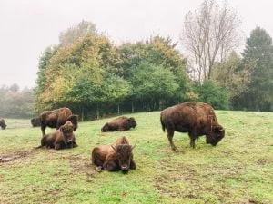 Legoland_Billund_Denemarken_vakantie_kinderen_mamablogger_