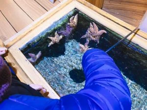 Legoland_Billund_Denemarken_vakantie_kinderen_mamablogger_