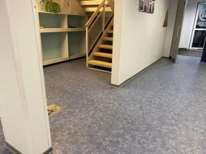 diary_persoonlijk_mamablogger_met collega's_Sinterklaasfilm_kerstshow_