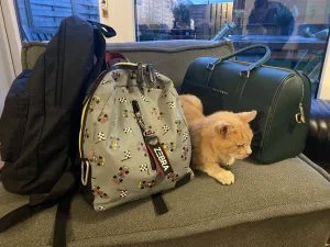 diary_verjaardagen_jongens_mamablogger_persoonlijk_lunch_
