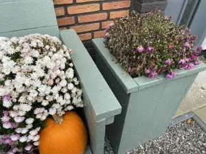 diary_persoonlijk_cursusdagen_visite_première_