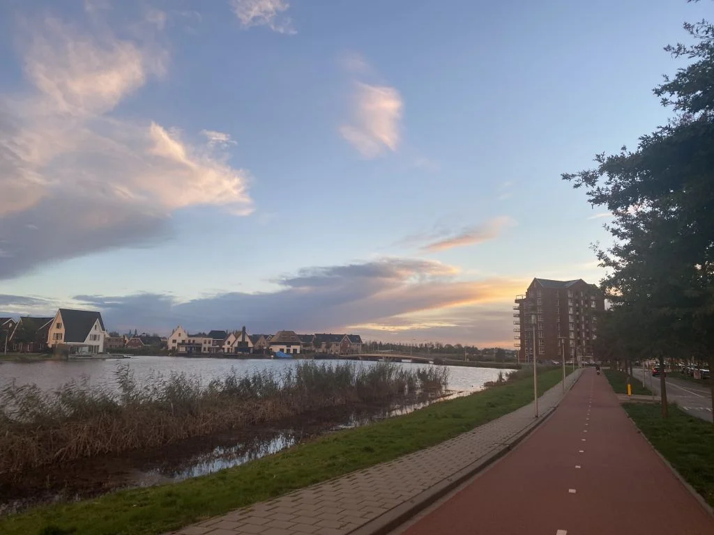 diary_maandag_cursusdagen_bioscoop_mamablogger_Snelle_