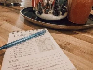 intocht_diary_schouwburg_persoonlijk_mamablogger_visite_