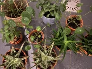 ziek met Kerst_persoonlijk_diary_mamablogger_Kerst_
