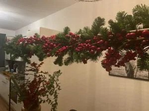 diary_stroomstoring_mamablogger_persoonlijk_Kerst_versieren_Max Verstappen_